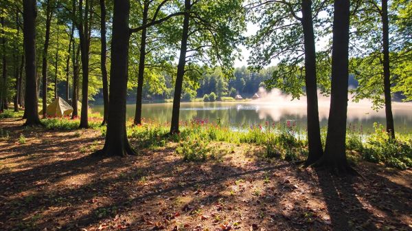 Explorez les meilleurs campings dans le Lot pour vos vacances
